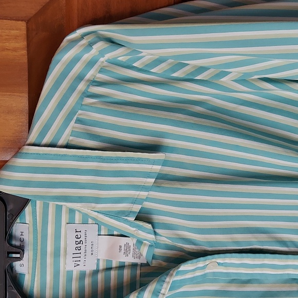 ➕️ Villager Green Striped Fitted Button Down Shirt, Size 16W, Like New - Picture 2 of 7